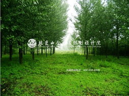 王院長帶隊赴河北平山縣生態(tài)莊園，開啟鄉(xiāng)村旅游規(guī)劃新篇章